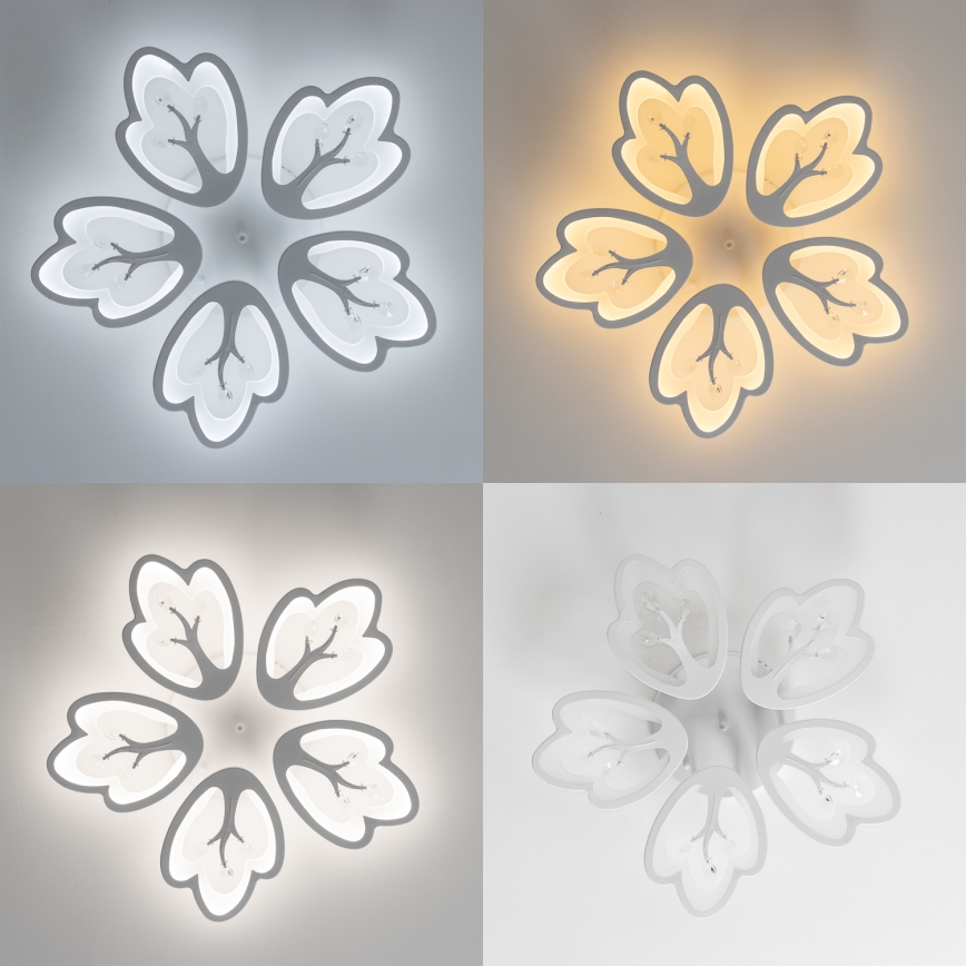 Brilagi - LED Stmievateľný prisadený luster TWIST LED/80W/230V 3000-6500K biela + diaľkové ovládanie