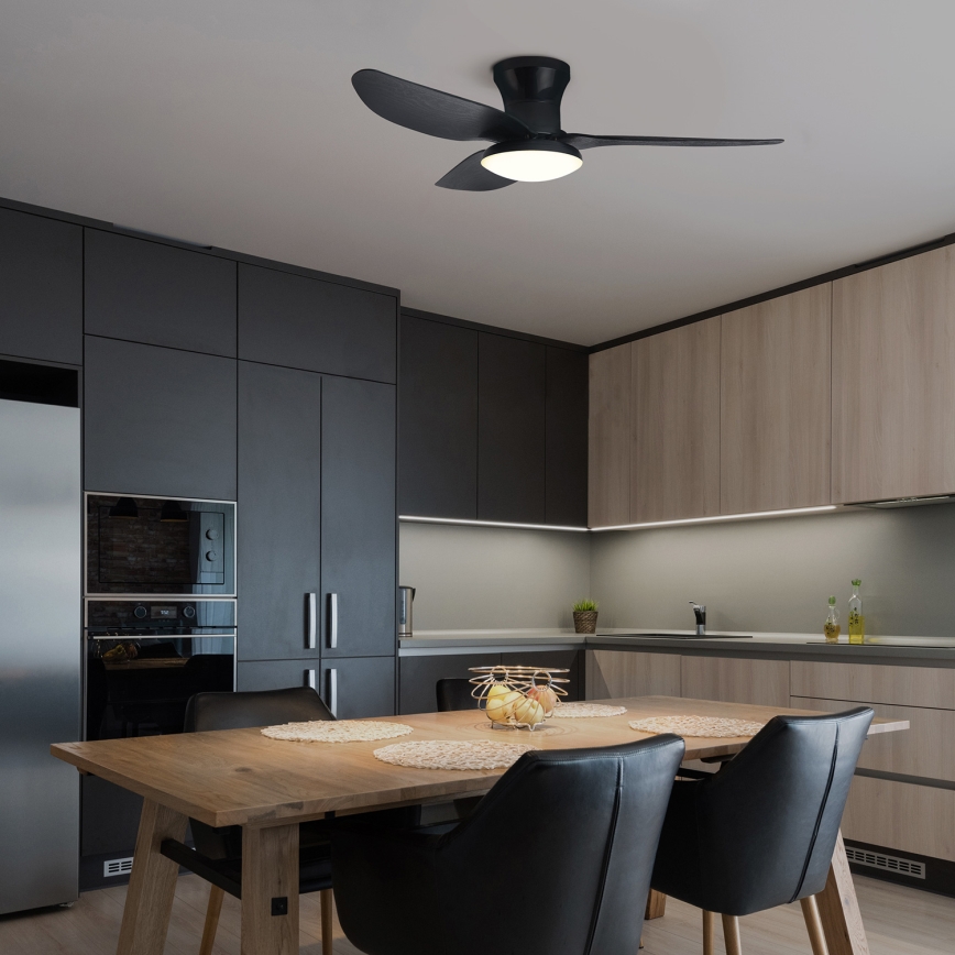 Brilagi - LED stropný ventilátor s reguláciou jasu LED/30W/230V 3000-6500K čierny + diaľkové ovládanie