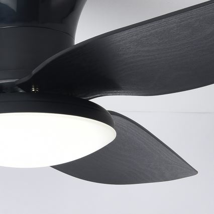 Brilagi - LED stropný ventilátor s reguláciou jasu LED/30W/230V 3000-6500K čierny + diaľkové ovládanie