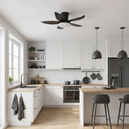 Brilagi - stmievateľný stropný ventilátor s LED/32W/230V 3000-6500K pr. 95 cm čierna + diaľkové ovládanie