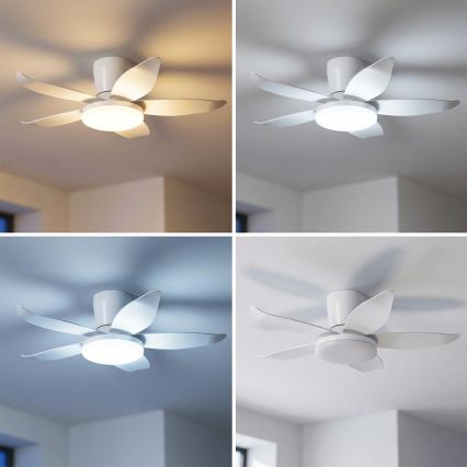 Brilagi - LED stlmiteľný stropný ventilátor LED/32W/230V 3000-6500K priemer 95 cm biela + diaľkové ovládanie