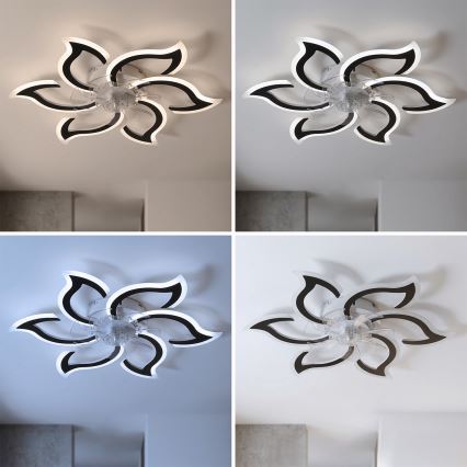 Brilagi - LED Stmievateľný stropný ventilátor LED/34W/230V 3000-6500K pr. 83 cm čierna + diaľkové ovládanie