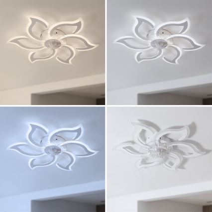 Brilagi - LED Stmievateľný stropný ventilátor LED/34W/230V pr. 83 cm biely + diaľkové ovládanie