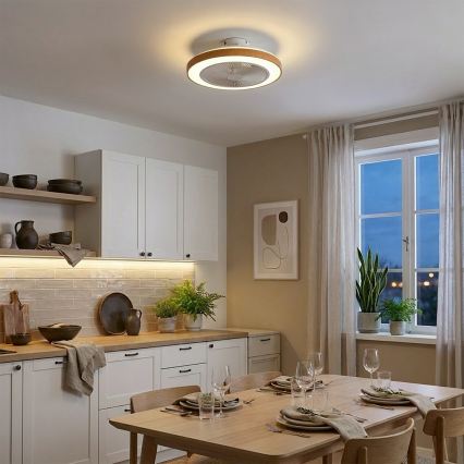 Brilagi - LED stmievateľný stropný ventilátor LED/38W/230V 50 cm biela/hnedá + diaľkové ovládanie