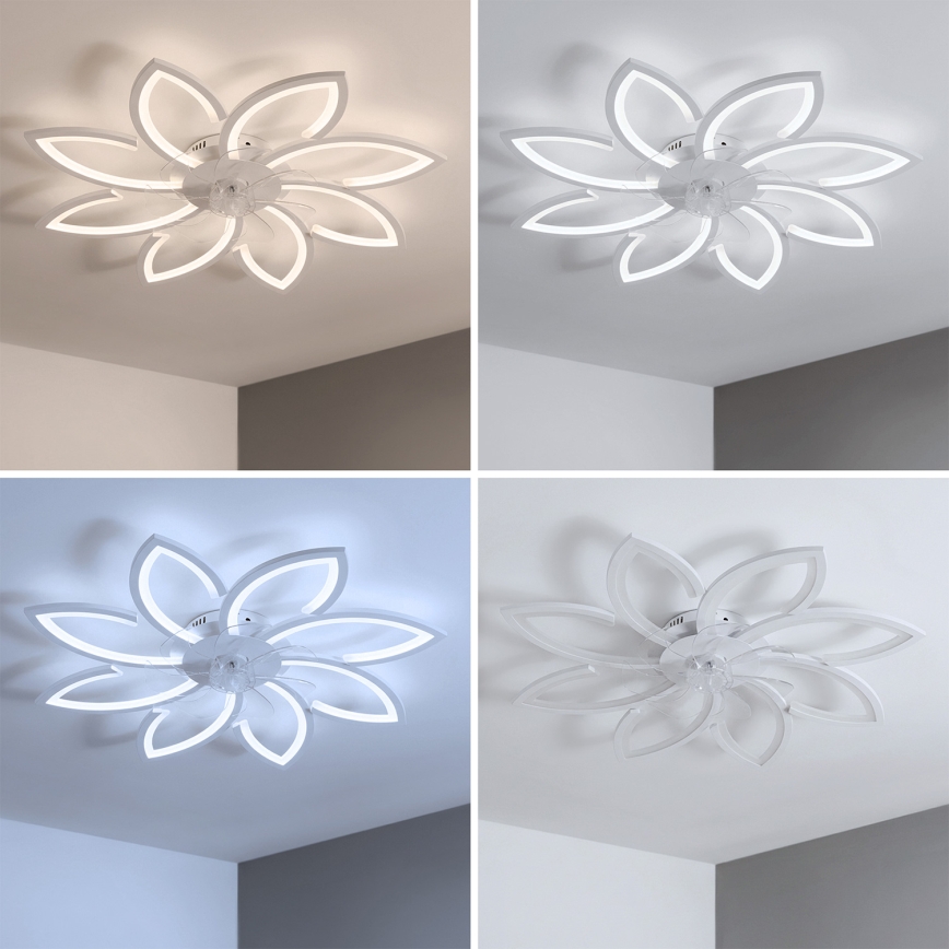 Brilagi - LED stmievateľný stropný ventilátor LED/43W/230V 3000-6500K priemer 90 cm biela + diaľkové ovládanie