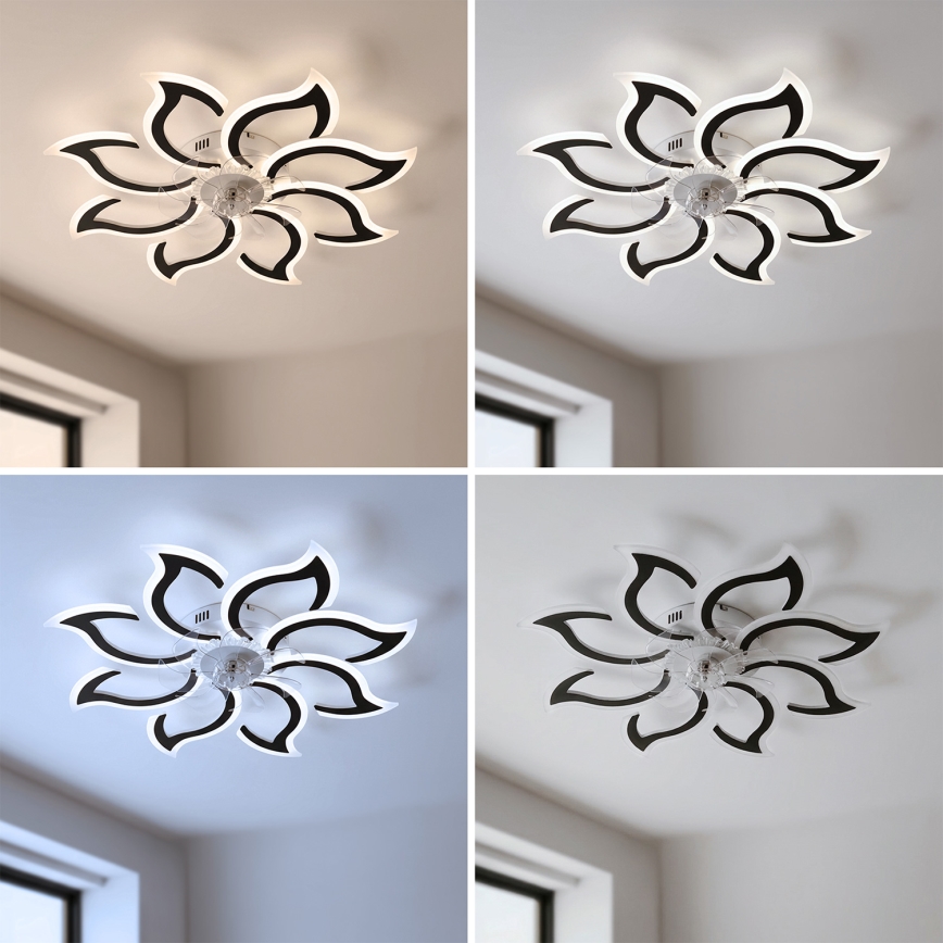 Brilagi - Stropný ventilátor s stmievateľnou LED, 44 W, 230 V, priemer 90 cm, čierny + diaľkové ovládanie