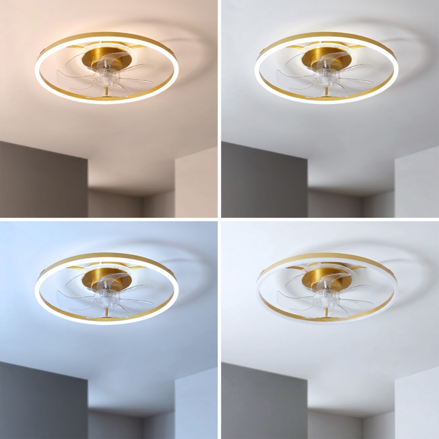 Brilagi - stmievateľný stropný ventilátor s LED 66W/230V 3000-6500K priemer 55 cm biela/zlatá + diaľkové ovládanie
