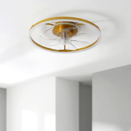 Brilagi - stmievateľný stropný ventilátor s LED 66W/230V 3000-6500K priemer 55 cm biela/zlatá + diaľkové ovládanie