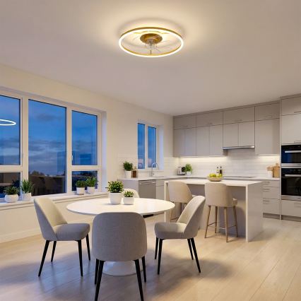 Brilagi - stmievateľný stropný ventilátor s LED 66W/230V 3000-6500K priemer 55 cm biela/zlatá + diaľkové ovládanie