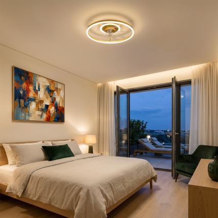 Brilagi - stmievateľný stropný ventilátor s LED 66W/230V 3000-6500K priemer 55 cm biela/zlatá + diaľkové ovládanie