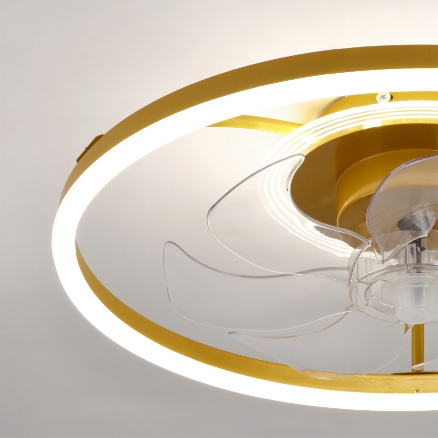 Brilagi - stmievateľný stropný ventilátor s LED 66W/230V 3000-6500K priemer 55 cm biela/zlatá + diaľkové ovládanie