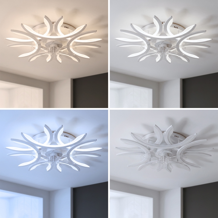 Brilagi - LED stmievateľný stropný ventilátor LED/70W/230V 3000-6500K priemer 76 cm biela + diaľkové ovládanie