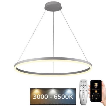 Brilagi - LED stmievateľný závesný luster na lanku CIRCLE LED/55W/230V 3000-6500K + diaľkové ovládanie