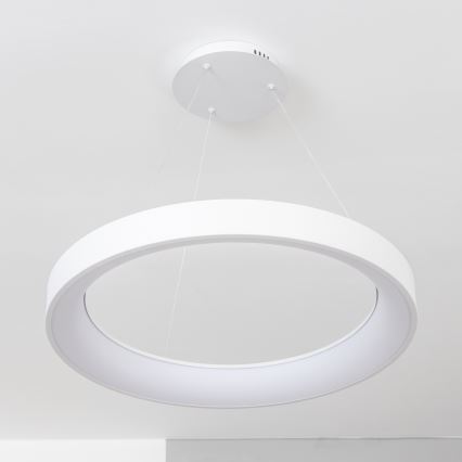 Brilagi - LED stmievateľný luster na lanku FALCON II LED/99W/230V 3000–6500K priemer 60 cm biela + diaľkové ovládanie