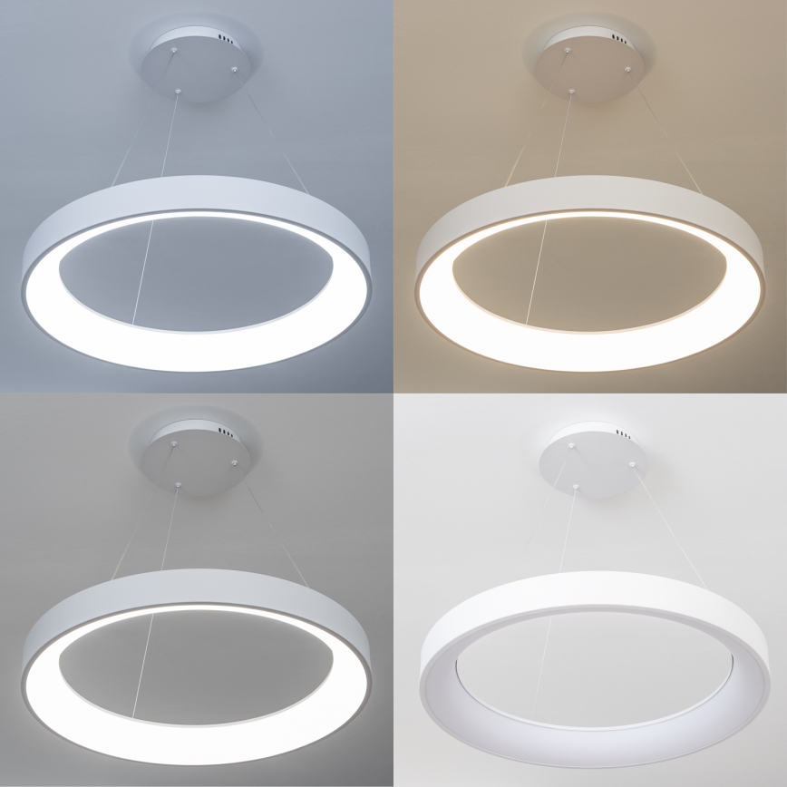 Brilagi - LED stmievateľný luster na lanku FALCON II LED/99W/230V 3000–6500K priemer 60 cm biela + diaľkové ovládanie