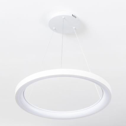Brilagi - LED stmievateľný závesný luster FALCON SLIM LED/42W/230V 3000-6500K pr. 50 cm biela + diaľkové ovládanie