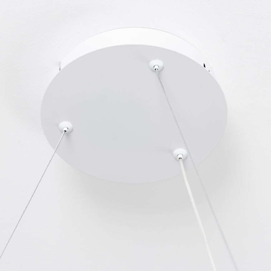 Brilagi - LED stmievateľný závesný luster FALCON SLIM LED/42W/230V 3000-6500K pr. 50 cm biela + diaľkové ovládanie