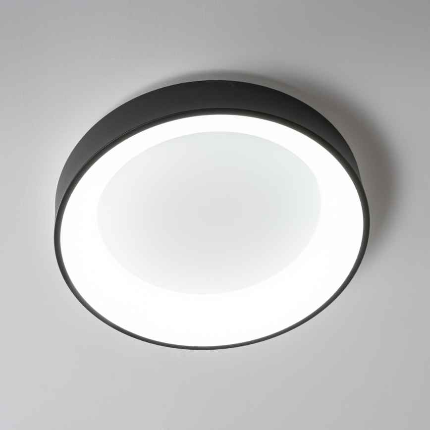 Brilagi - LED Stmievateľné stropné svietidlo FALCON LED/80W/230V 3000-6500K pr. 60 cm čierna + diaľkové ovládanie