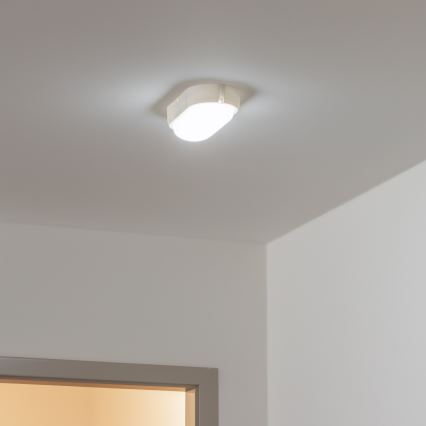 Brilagi - LED Stropné priemyselné svietidlo SIMA LED/12W/230V IP65 biela
