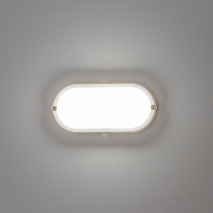 Brilagi - LED Stropné priemyselné svietidlo SIMA LED/12W/230V IP65 biela