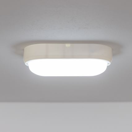 Brilagi - LED Stropné priemyselné svietidlo SIMA LED/12W/230V IP65 biela