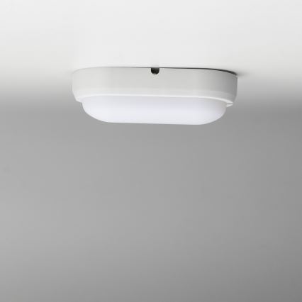 Brilagi - LED Stropné priemyselné svietidlo SIMA LED/12W/230V IP65 biela