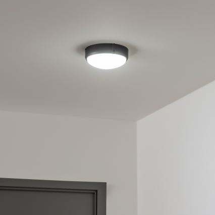 Brilagi - LED Stropné priemyselné svietidlo SIMA LED/12W/230V IP65 čierna
