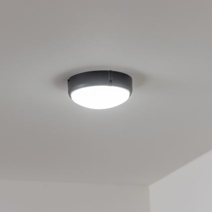 Brilagi - LED Stropné priemyselné svietidlo SIMA LED/12W/230V IP65 čierna