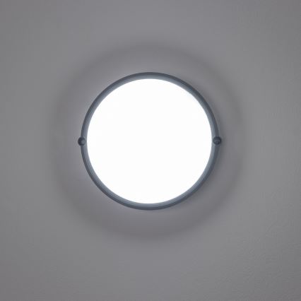 Brilagi - LED Stropné priemyselné svietidlo SIMA LED/12W/230V IP65 čierna