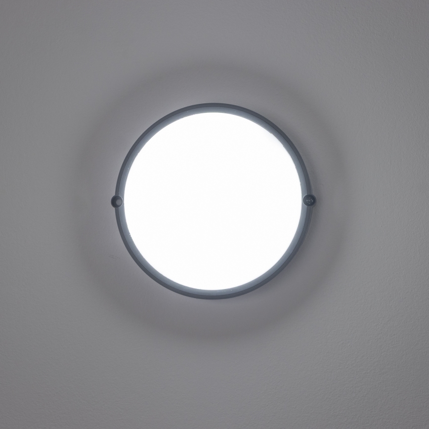 Brilagi - LED Stropné priemyselné svietidlo SIMA LED/12W/230V IP65 čierna