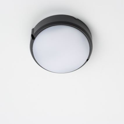 Brilagi - LED Stropné priemyselné svietidlo SIMA LED/12W/230V IP65 čierna