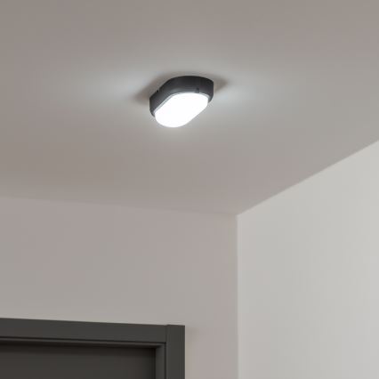 Brilagi - LED Stropné priemyselné svietidlo SIMA LED/12W/230V IP65 čierna