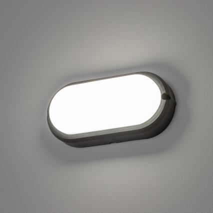 Brilagi - LED Stropné priemyselné svietidlo SIMA LED/12W/230V IP65 čierna