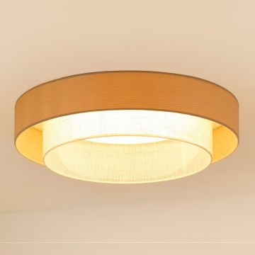 Brilagi - LED Stropné svietidlo ARIZONA BOHO LED/26W/230V pr. 60 cm béžová