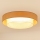 Brilagi - LED Stropné svietidlo ARIZONA BOHO LED/26W/230V pr. 60 cm béžová