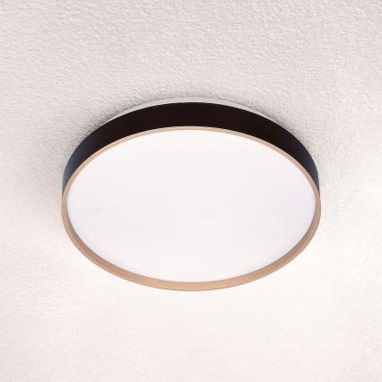 Brilagi - LED Stropné svietidlo CALA LED/24W/230V
