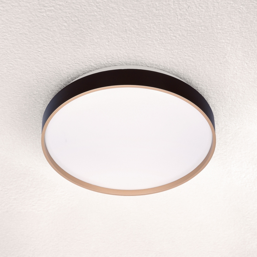 Brilagi - LED Stropné svietidlo CALA LED/24W/230V