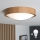 Brilagi - LED Stropné svietidlo CARVALHO SLIM 1xE27/60W/230V dub pr. 27 cm