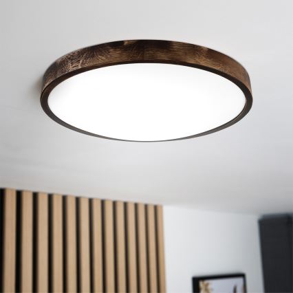 Brilagi - LED stropné svietidlo CARVALHO SLIM SMOKEY LED/36W/230V dub pr. 47,5 cm