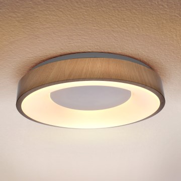 Brilagi - LED Stropné svietidlo DORIA LED/24W/230V