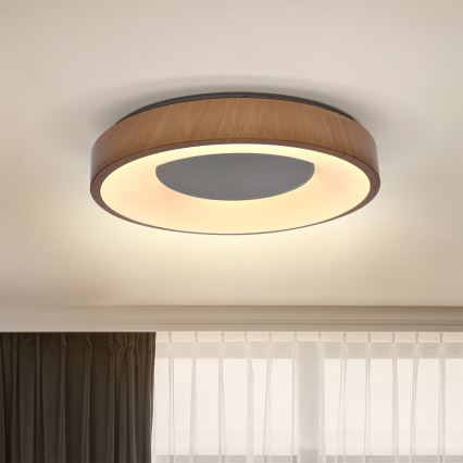 Brilagi - LED Stropné svietidlo DORIA LED/24W/230V