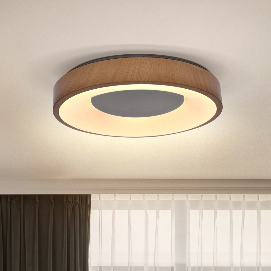Brilagi - LED Stropné svietidlo DORIA LED/24W/230V