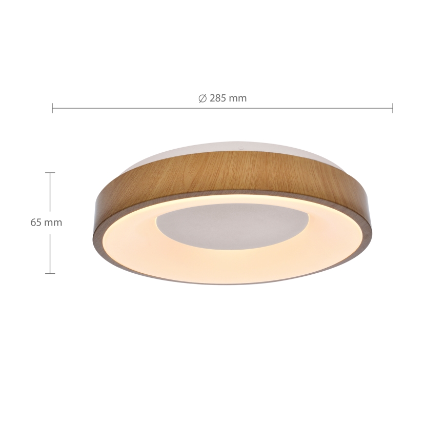 Brilagi - LED Stropné svietidlo DORIA LED/24W/230V