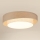 Brilagi - LED Stropné svietidlo DOVER SHINE LED/26W/230V pr. 60 cm šedá/krémová