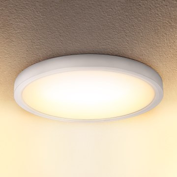 Brilagi - LED Stropné svietidlo ESTELA LED/18W/230V biela