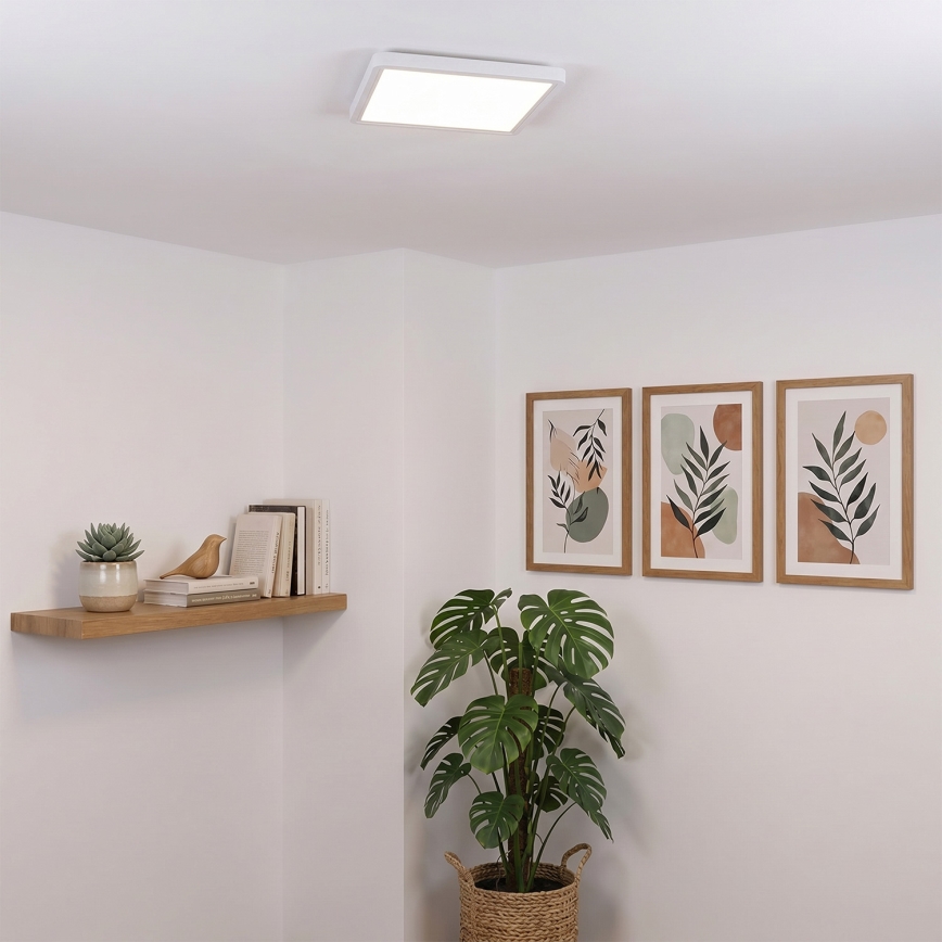 Brilagi - LED Stropné svietidlo ESTELA SQUARE LED/24W/230V 31x31 cm biela
