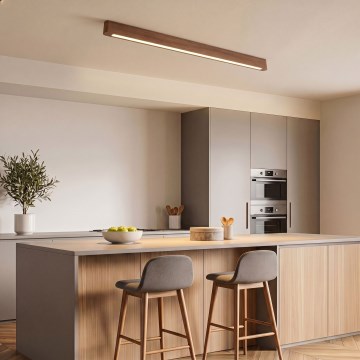 BRILAGI - LED Stropné svietidlo GARDALINE LED/90W/230V 120 cm dub