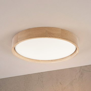 Brilagi - LED stropné svietidlo MANAROLA PLAIN LED/24W/230V 3000K priemer 41 cm dub