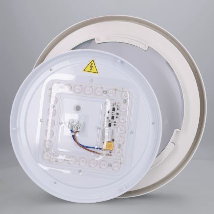 Brilagi - LED stropné svietidlo MATTEO LED/24W/230V Ø 31 cm zelené