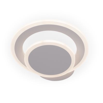 Brilagi - LED stropné svietidlo MODERN MINI LED/22W/230V 3000/4000/6000K